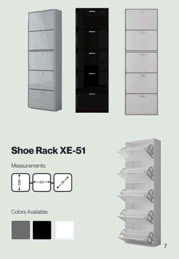 XE-51 Shoe Cabinet